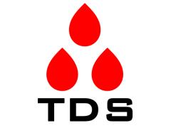Steel Detailer / Project Manager at TDS Industrial Services LTD