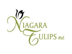 Greenhouse Maintenance / Assistant Grower at Niagara Tulips Ltd